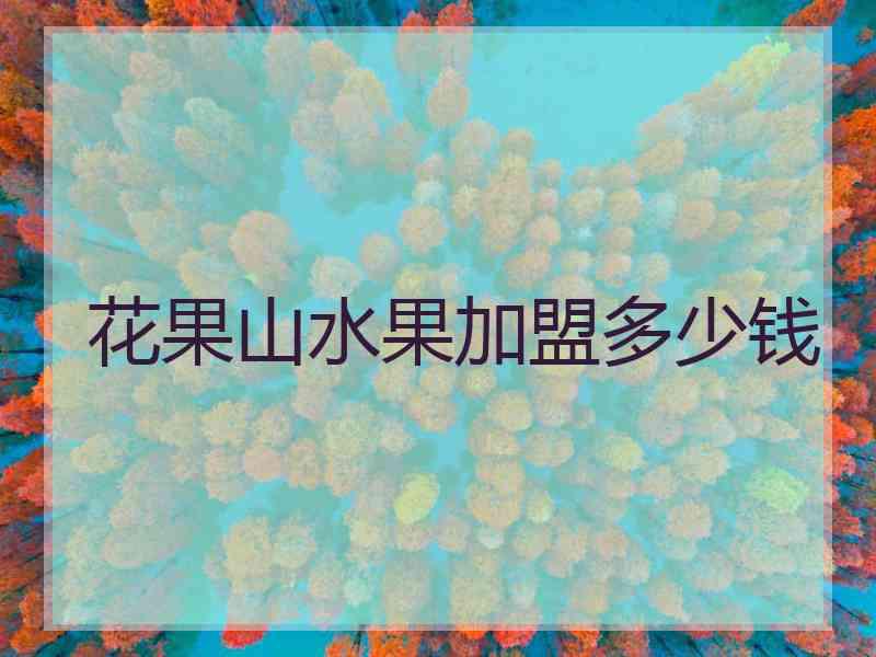 花果山水果加盟多少钱