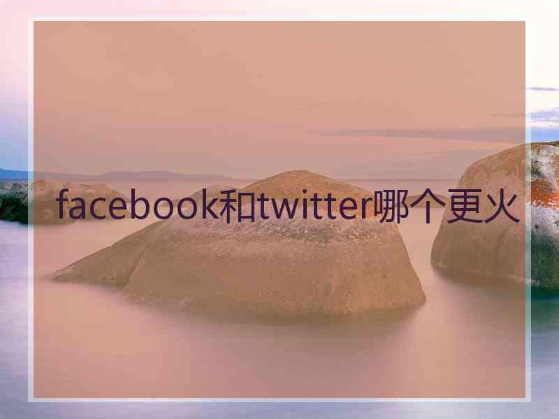 facebook和twitter哪个更火