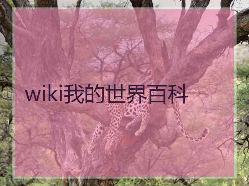 wiki我的世界百科