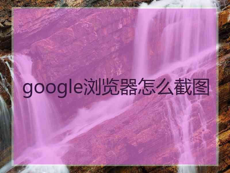 google浏览器怎么截图