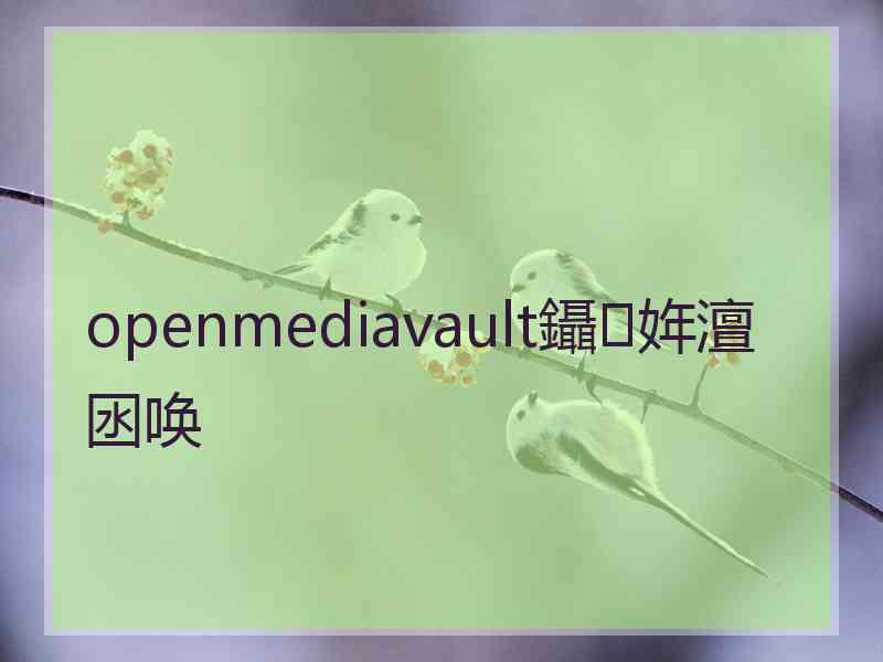 openmediavault鑷姩澶囦唤