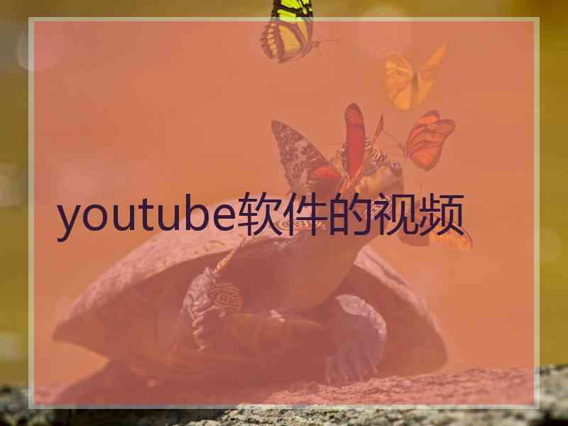 youtube软件的视频