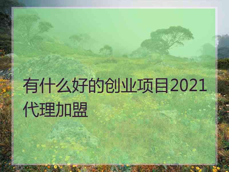 有什么好的创业项目2021代理加盟