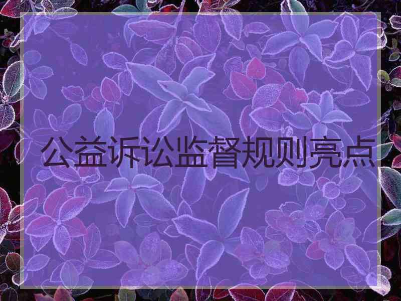 公益诉讼监督规则亮点