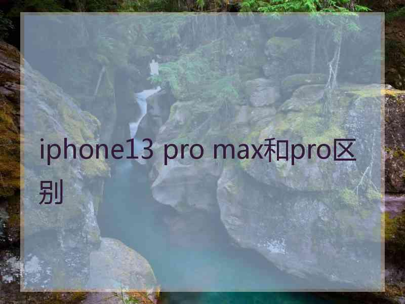 iphone13 pro max和pro区别