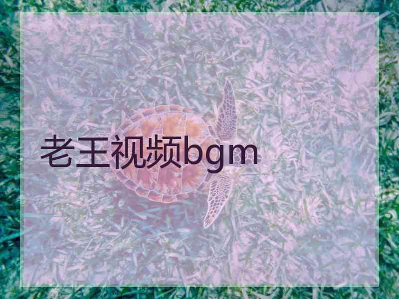 老王视频bgm