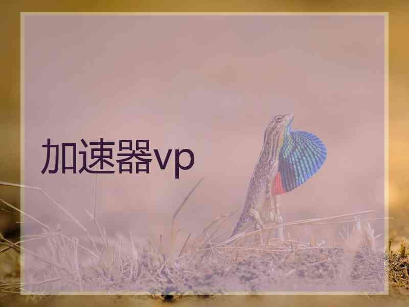 加速器vp