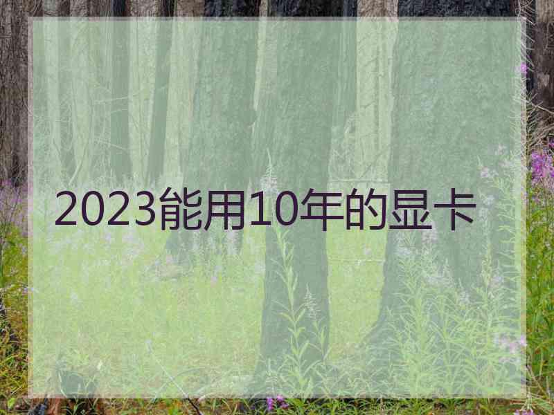 2023能用10年的显卡