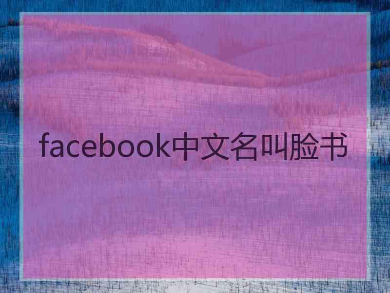 facebook中文名叫脸书