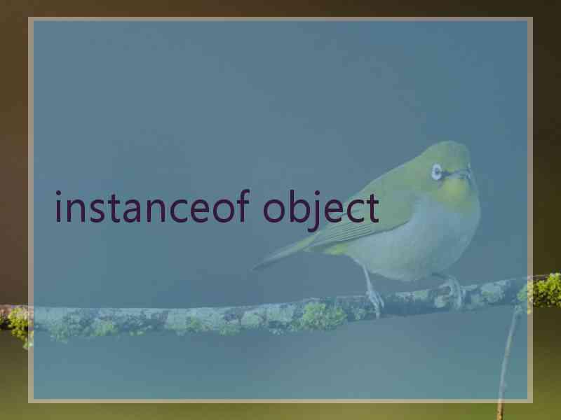 instanceof object