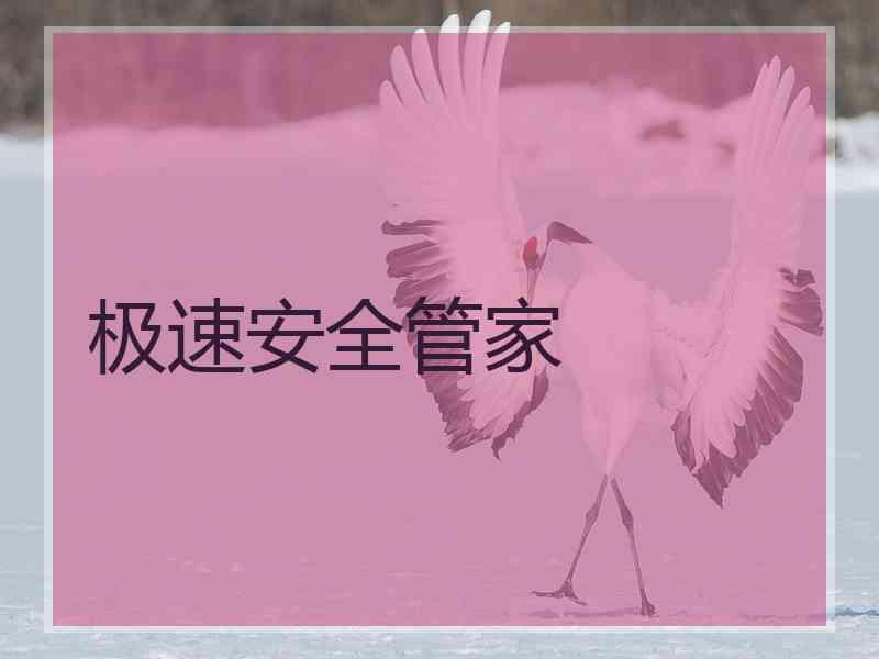 极速安全管家