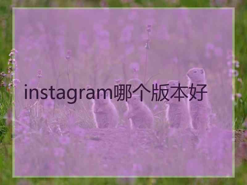 instagram哪个版本好