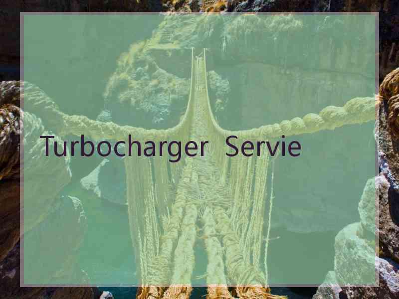 Turbocharger  Servie