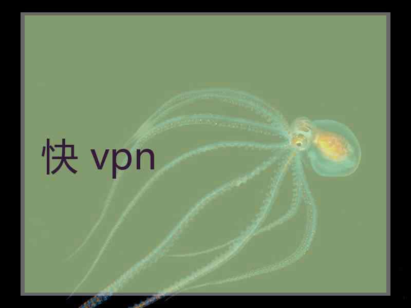 快 vpn