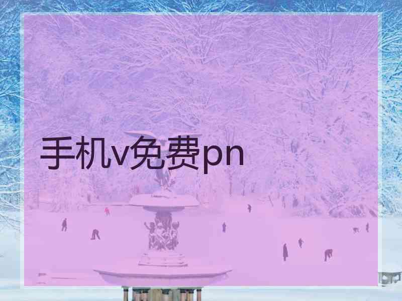 手机v免费pn