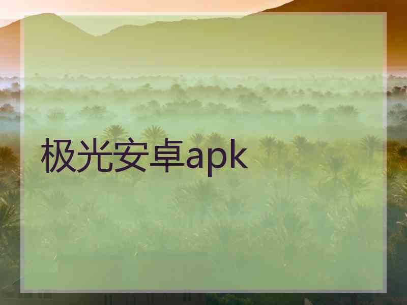 极光安卓apk