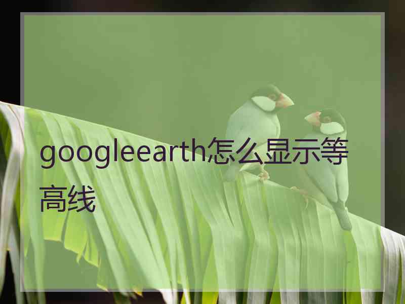 googleearth怎么显示等高线