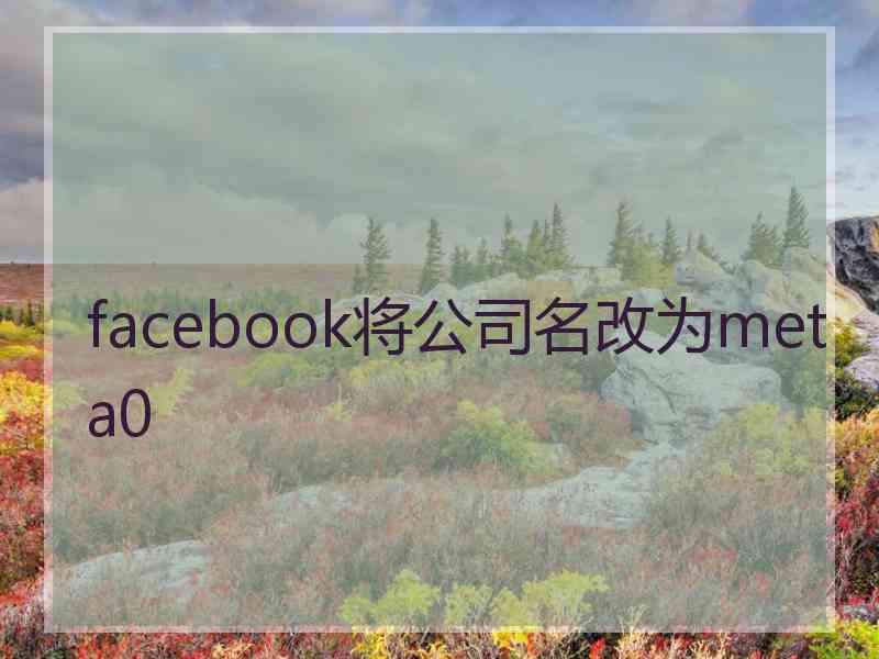 facebook将公司名改为meta0