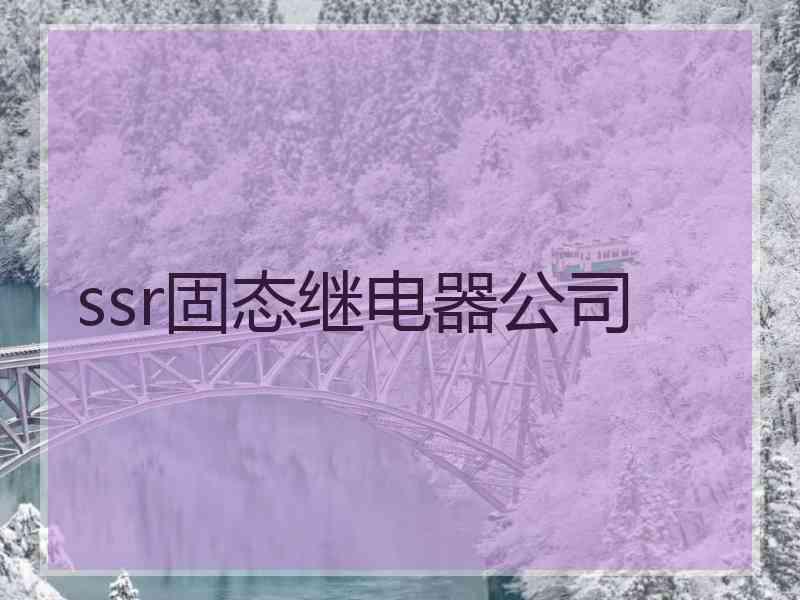 ssr固态继电器公司