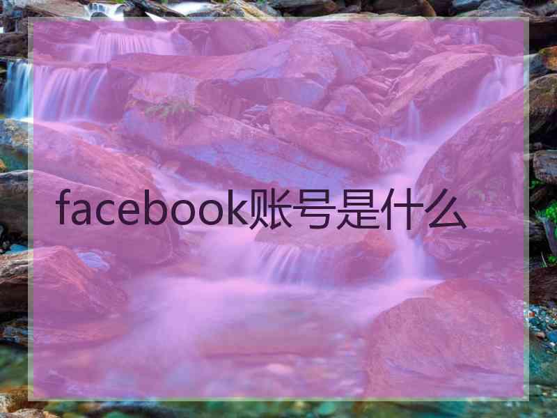 facebook账号是什么