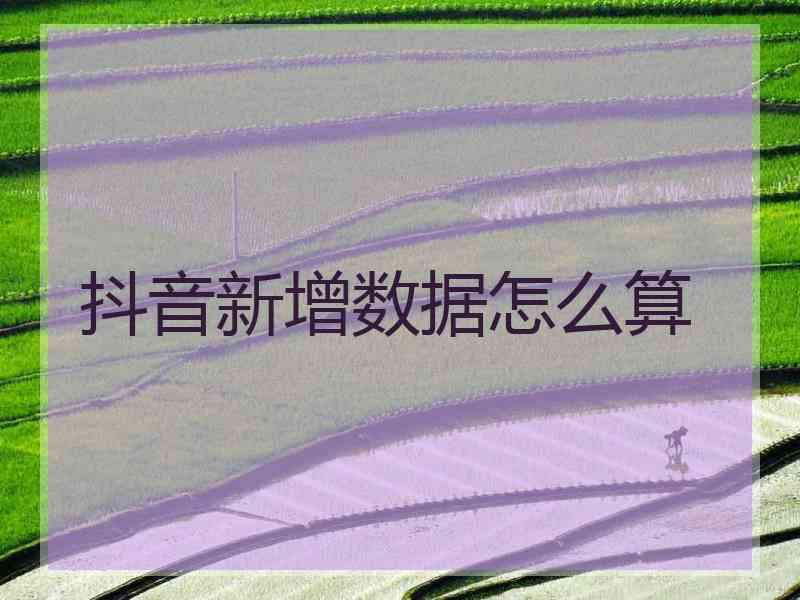 抖音新增数据怎么算