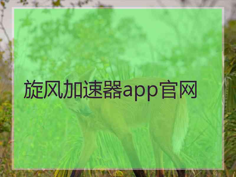 旋风加速器app官网