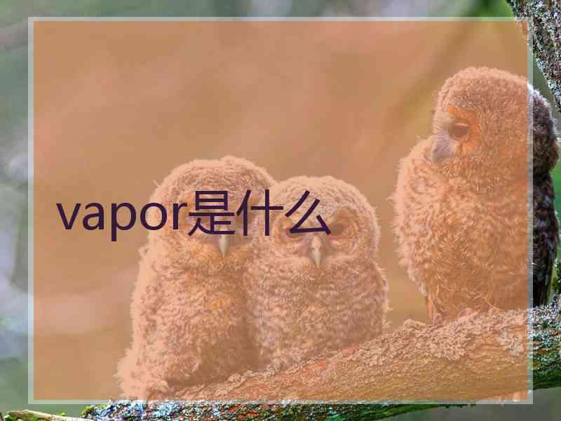 vapor是什么