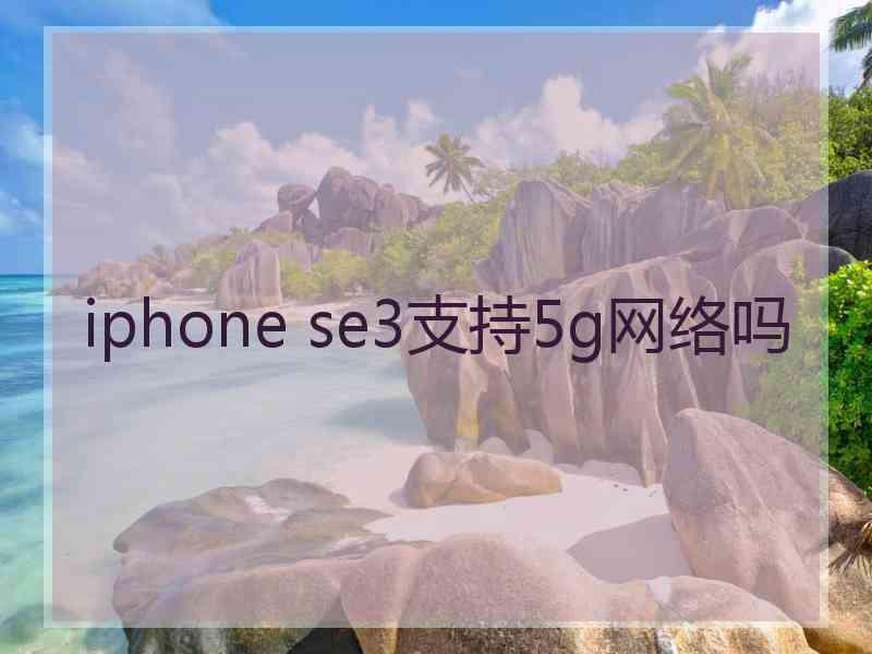 iphone se3支持5g网络吗