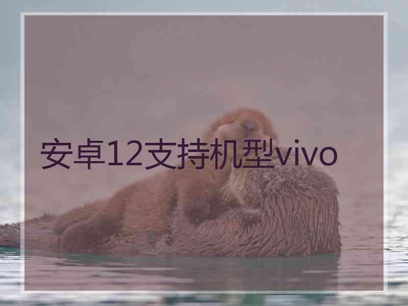 安卓12支持机型vivo