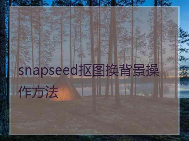 snapseed抠图换背景操作方法