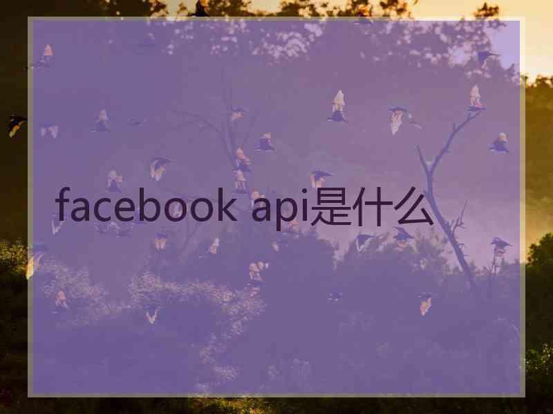 facebook api是什么