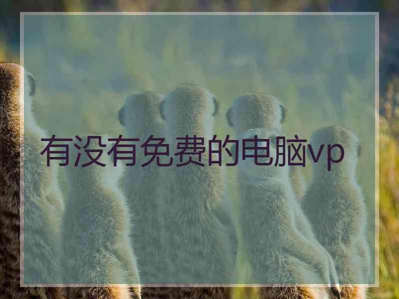 有没有免费的电脑vp