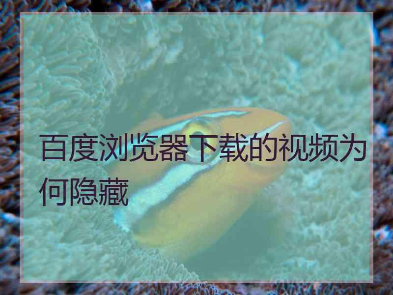 百度浏览器下载的视频为何隐藏