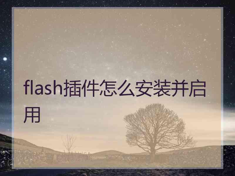 flash插件怎么安装并启用