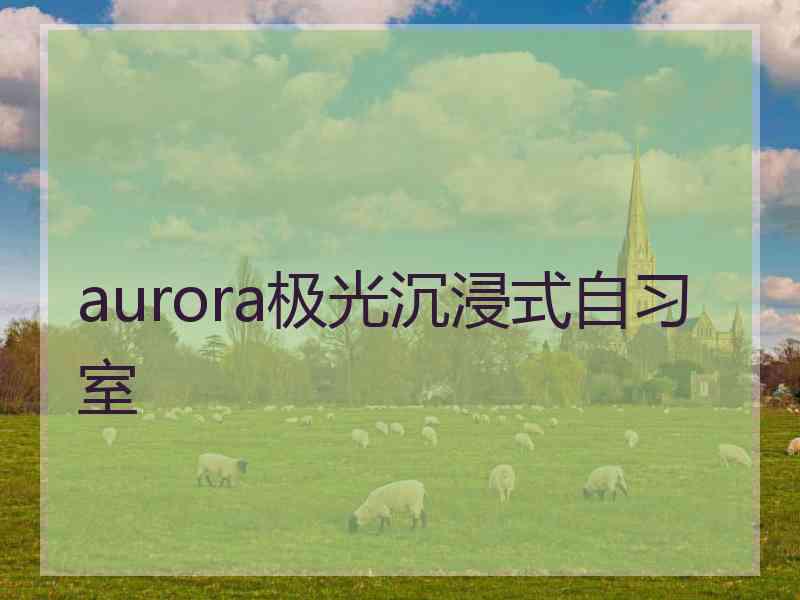 aurora极光沉浸式自习室