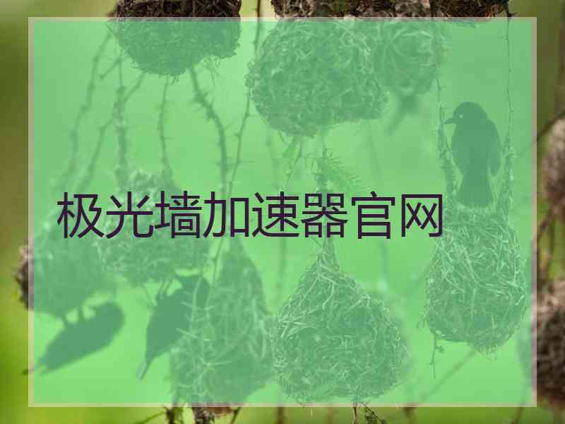 极光墙加速器官网