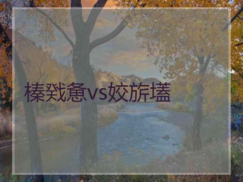 榛戣惫vs姣旂壒