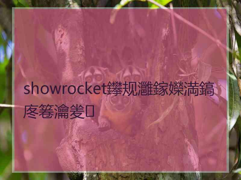 showrocket鑻规灉鎵嬫満鎬庝箞瀹夎