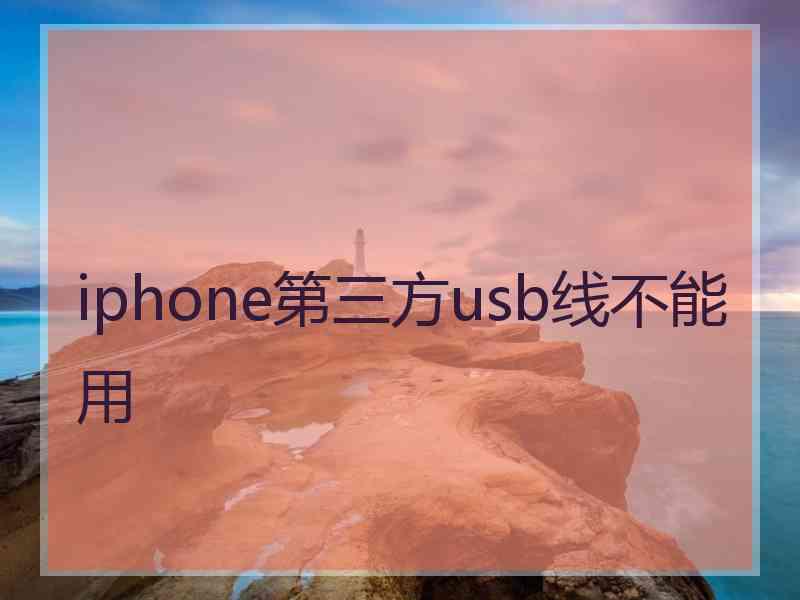 iphone第三方usb线不能用