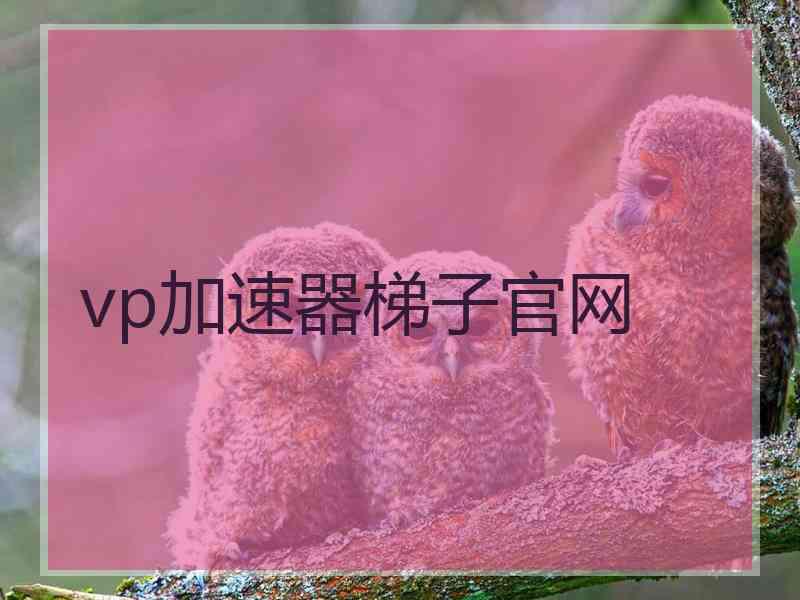 vp加速器梯子官网