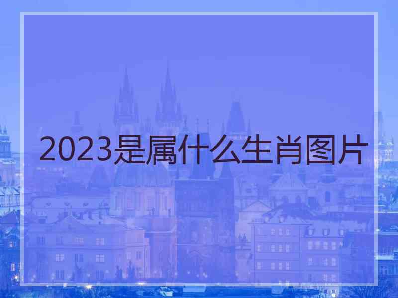 2023是属什么生肖图片