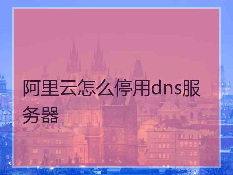 阿里云怎么停用dns服务器