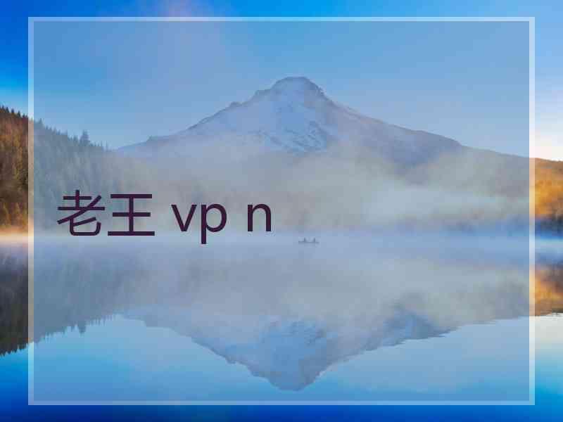 老王 vp n