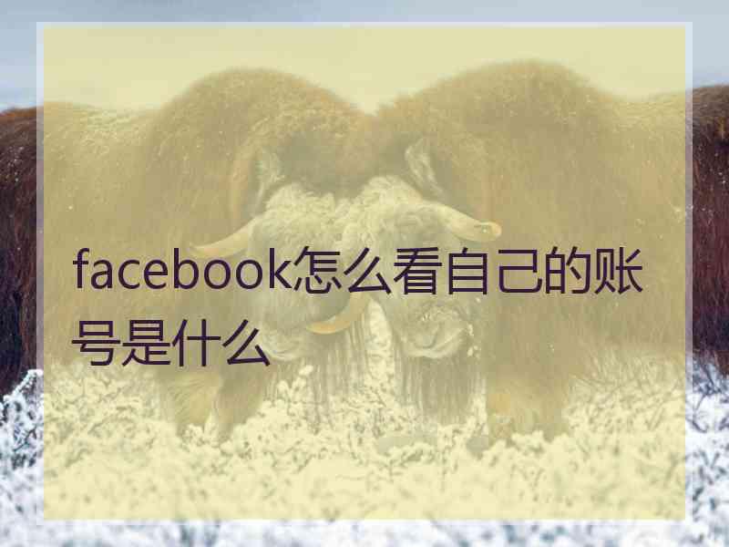 facebook怎么看自己的账号是什么