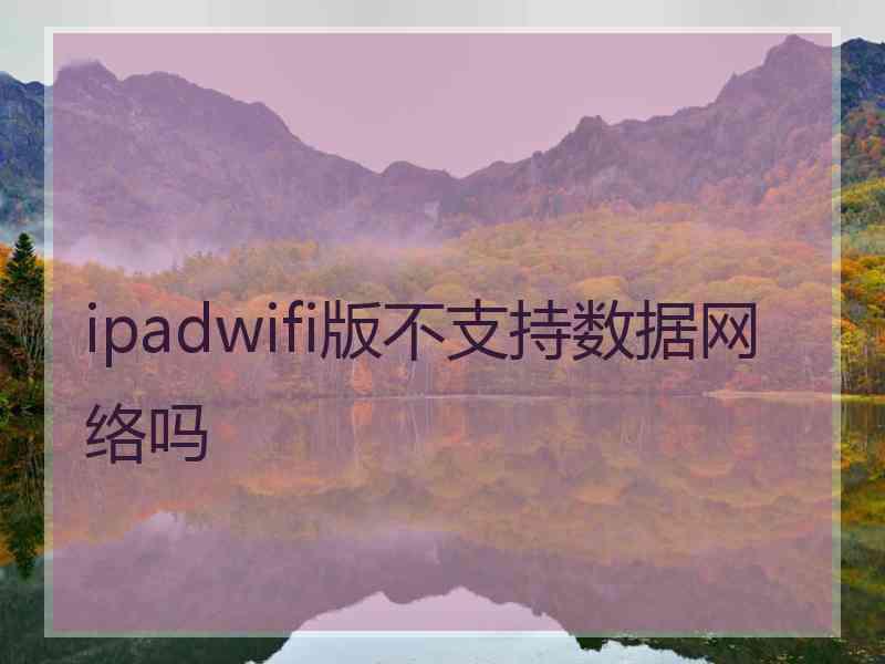 ipadwifi版不支持数据网络吗