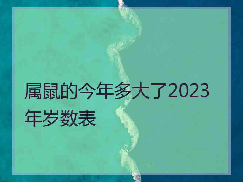 属鼠的今年多大了2023年岁数表