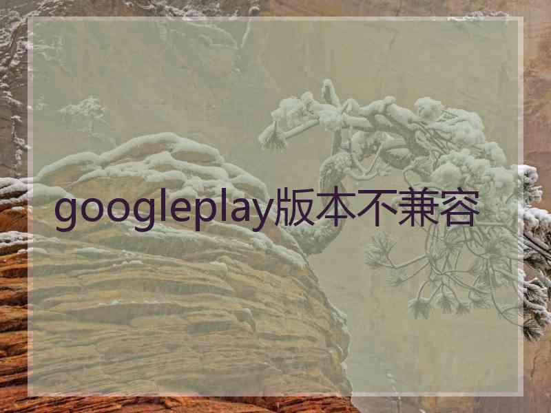 googleplay版本不兼容