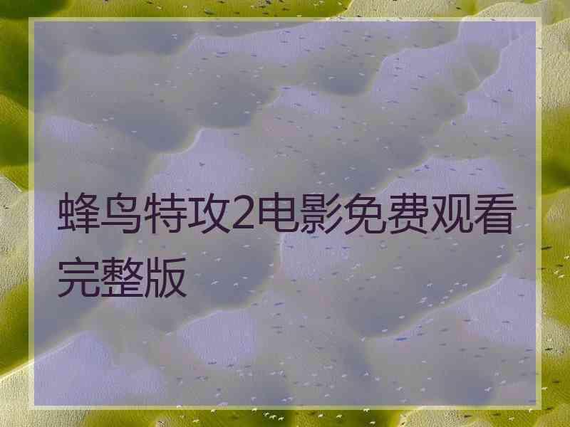 蜂鸟特攻2电影免费观看完整版