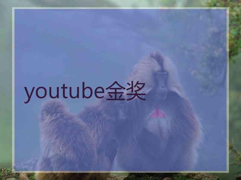 youtube金奖