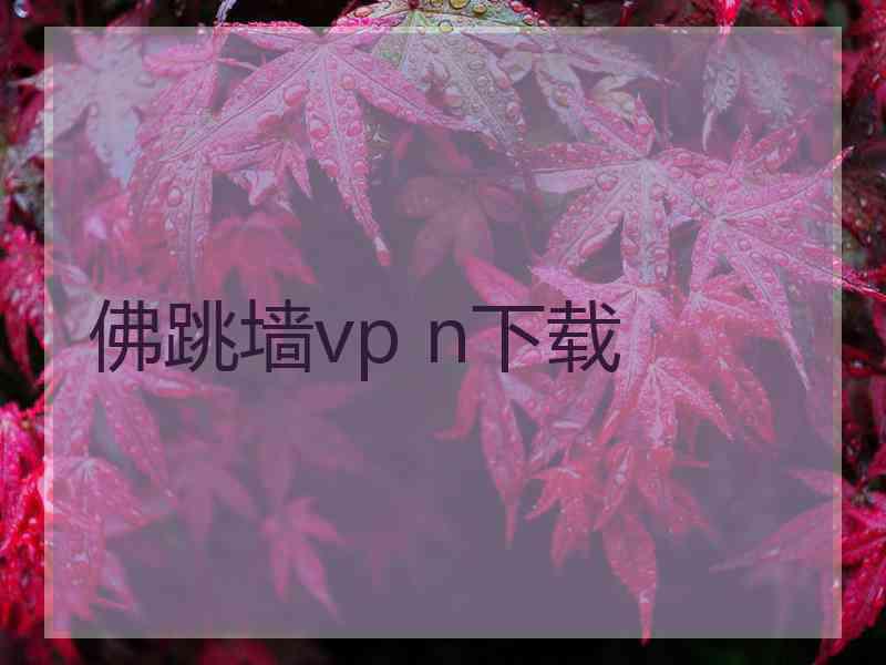 佛跳墙vp n下载